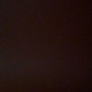 Meet your Posher, Rasleen